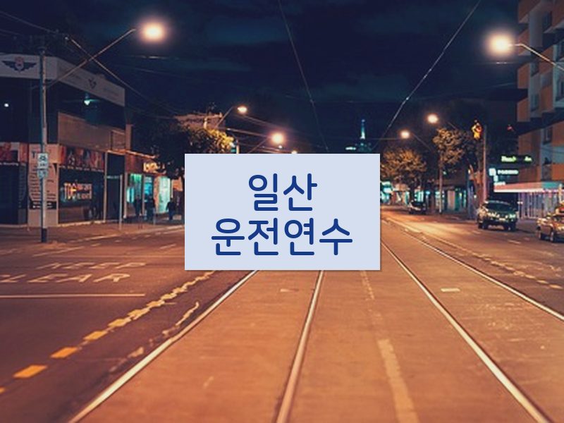 일산운전연수 후기