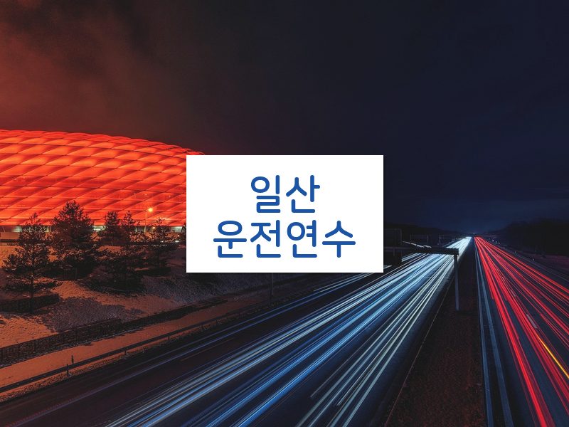 일산운전연수 후기