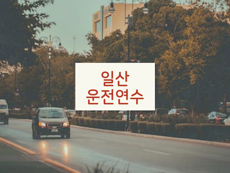 일산운전연수 후기