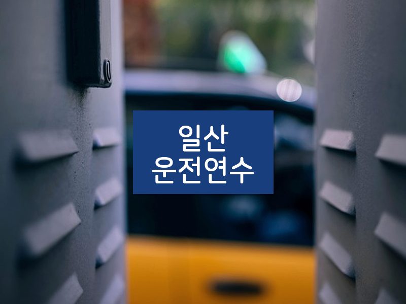 일산운전연수 후기