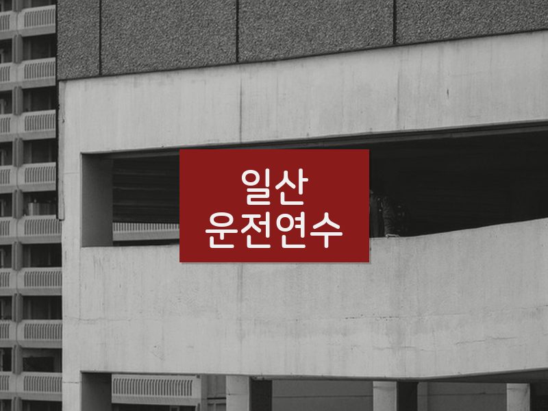 일산운전연수 후기