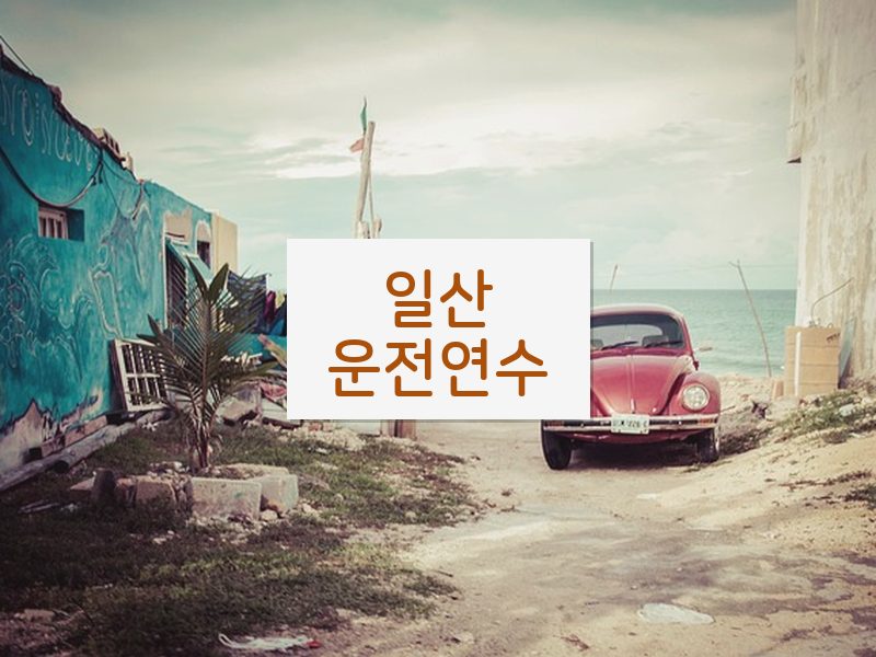 일산운전연수 후기