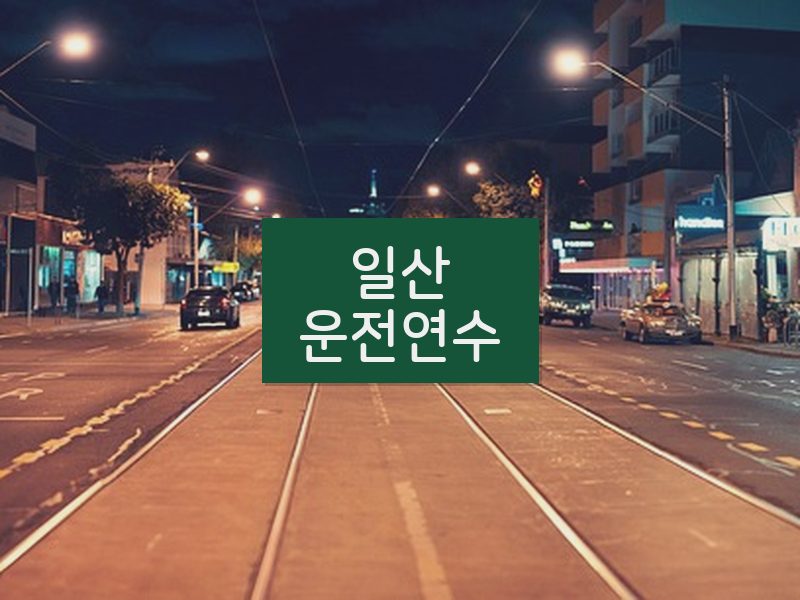 일산운전연수 후기