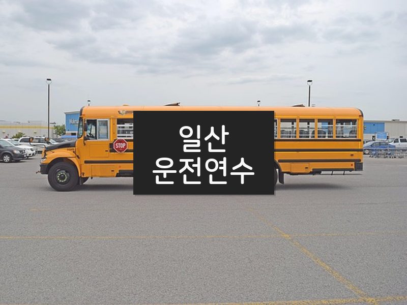 일산운전연수 후기