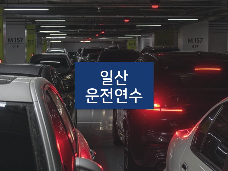 일산운전연수 후기