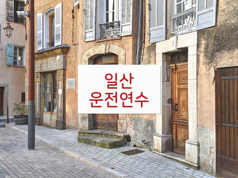 일산운전연수 후기