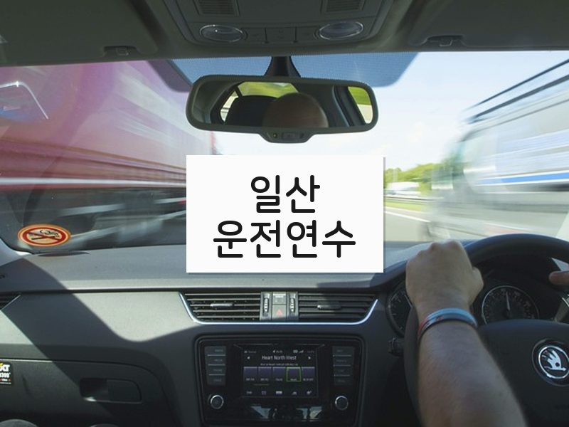 일산운전연수 후기