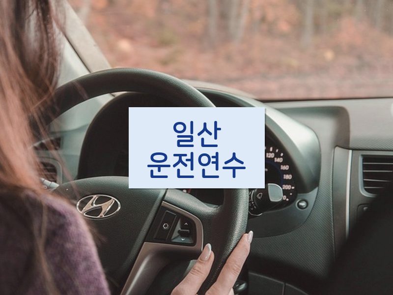 일산운전연수 후기