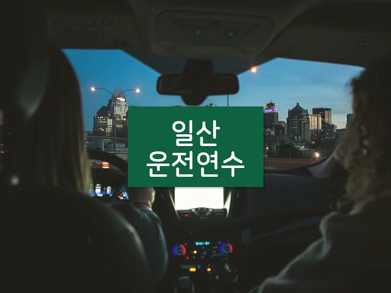 일산운전연수 후기