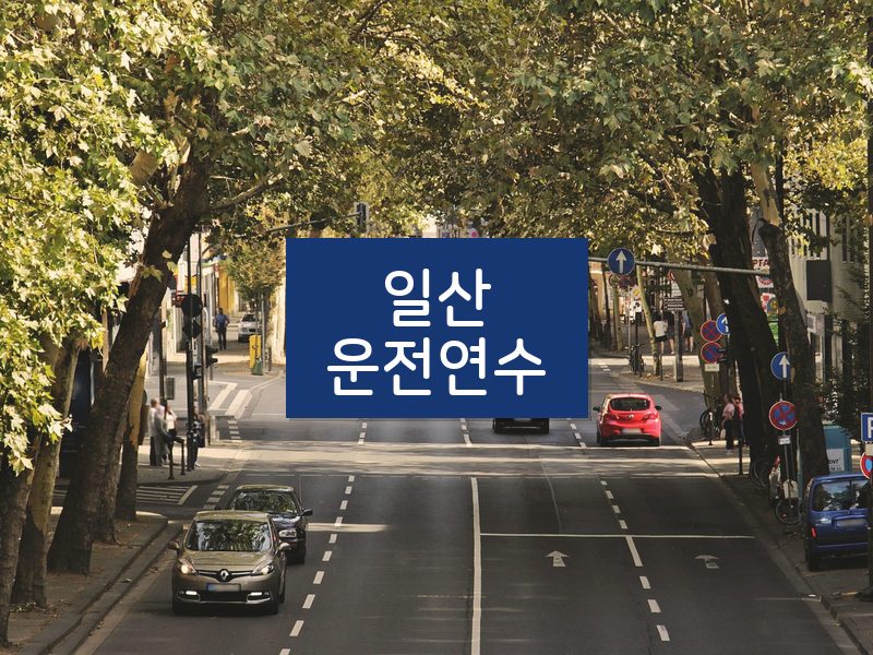 일산운전연수 후기