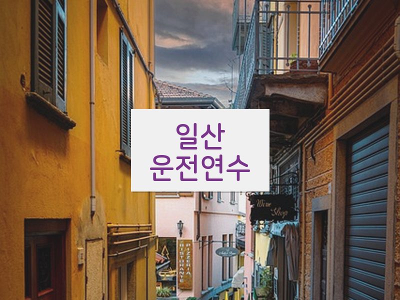 일산운전연수 후기