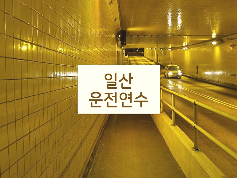 일산운전연수 후기