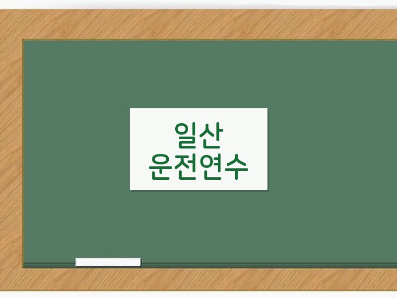 일산운전연수 후기