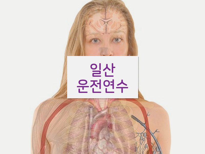일산운전연수 후기