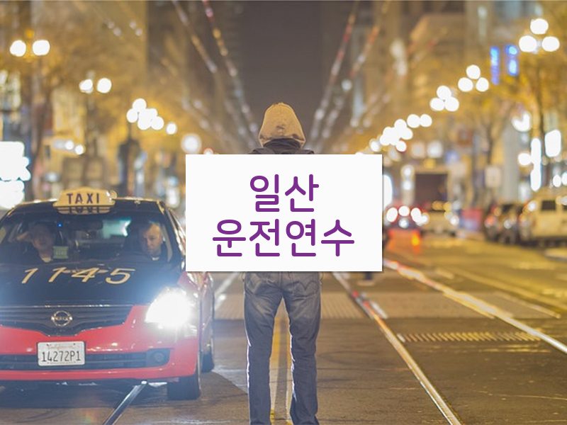 일산운전연수 후기