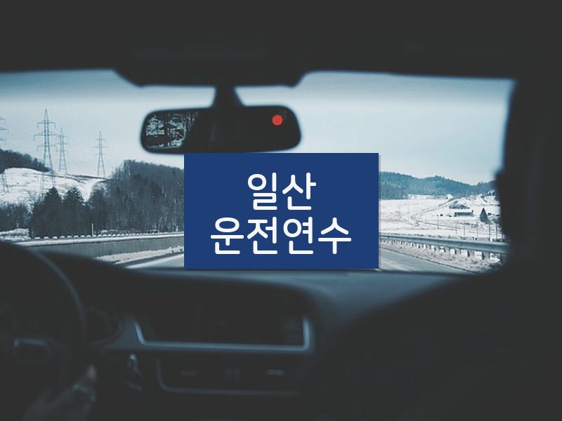 일산운전연수 후기