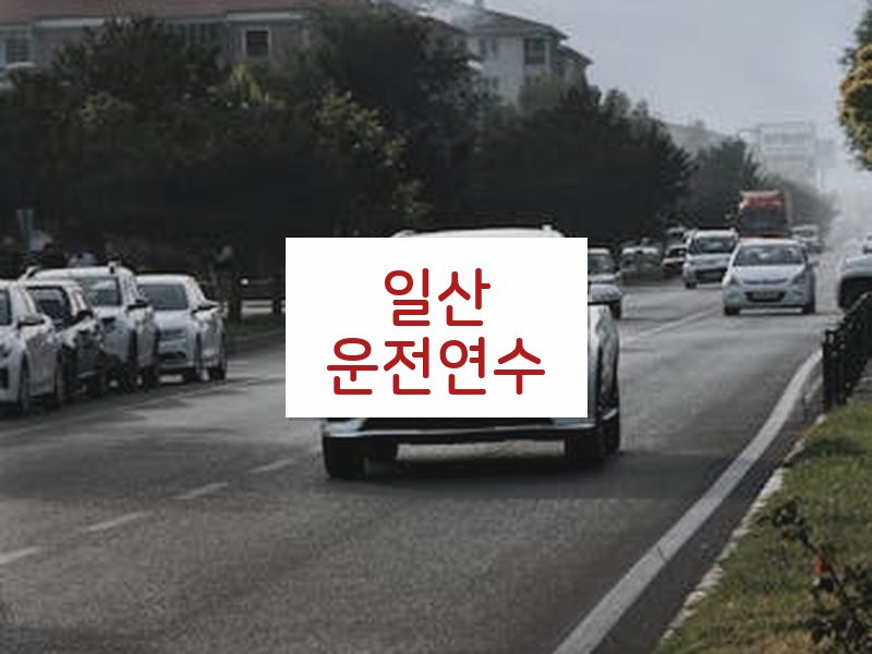 일산운전연수 후기