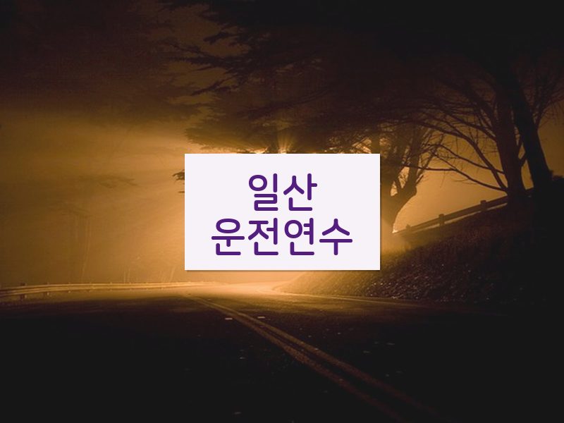 일산운전연수 후기