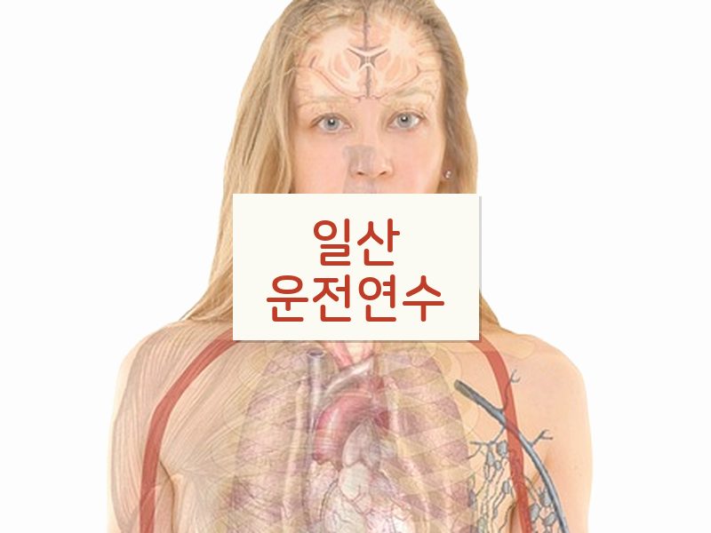 일산운전연수 후기