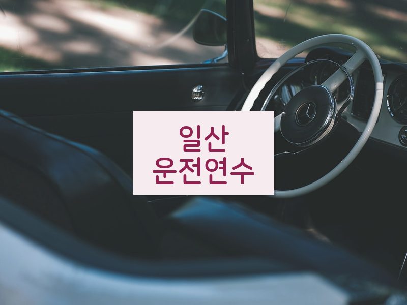 일산운전연수 후기