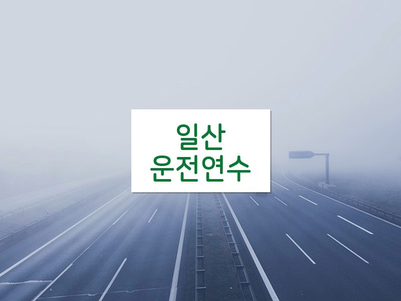 일산운전연수 후기