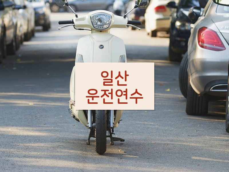 일산운전연수 후기