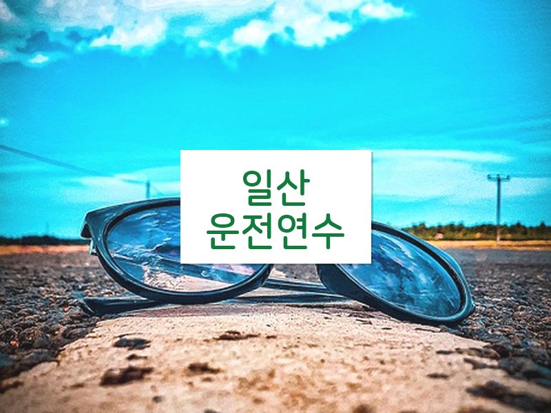 일산운전연수 후기
