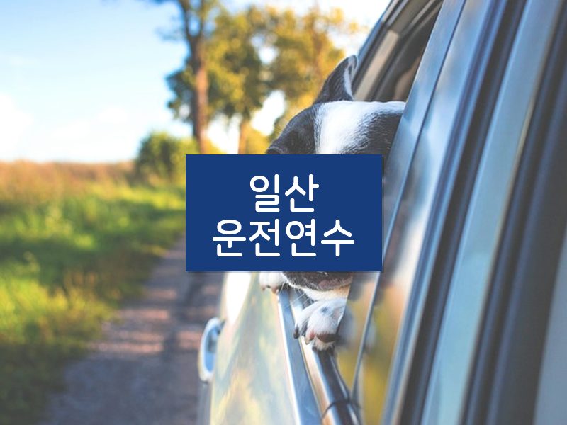 일산운전연수 후기