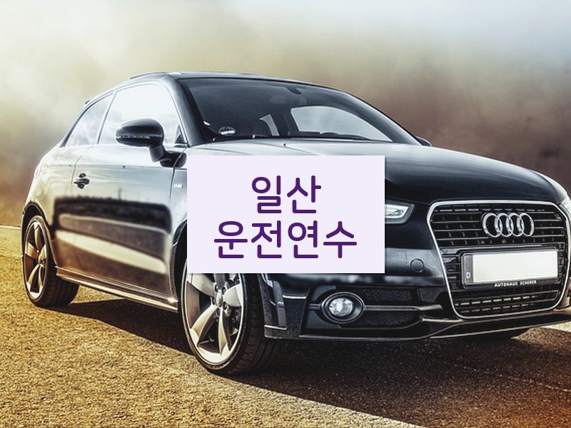 일산운전연수 후기