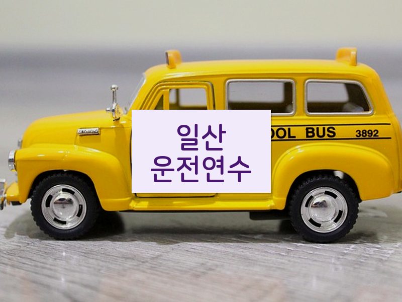 일산운전연수 후기