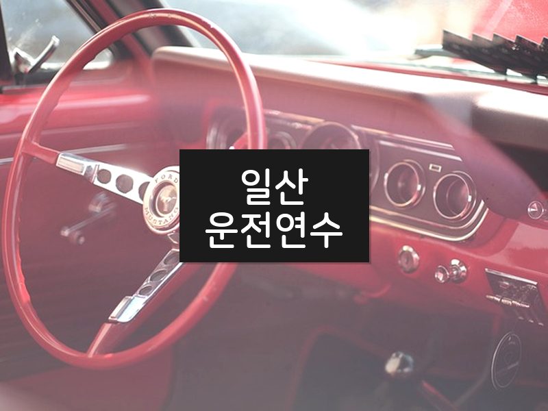 일산운전연수 후기