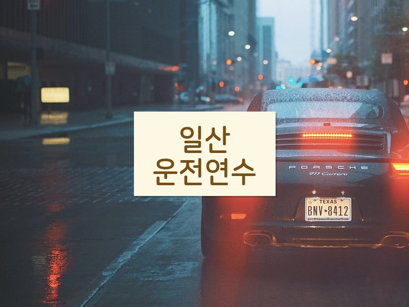 일산운전연수 후기