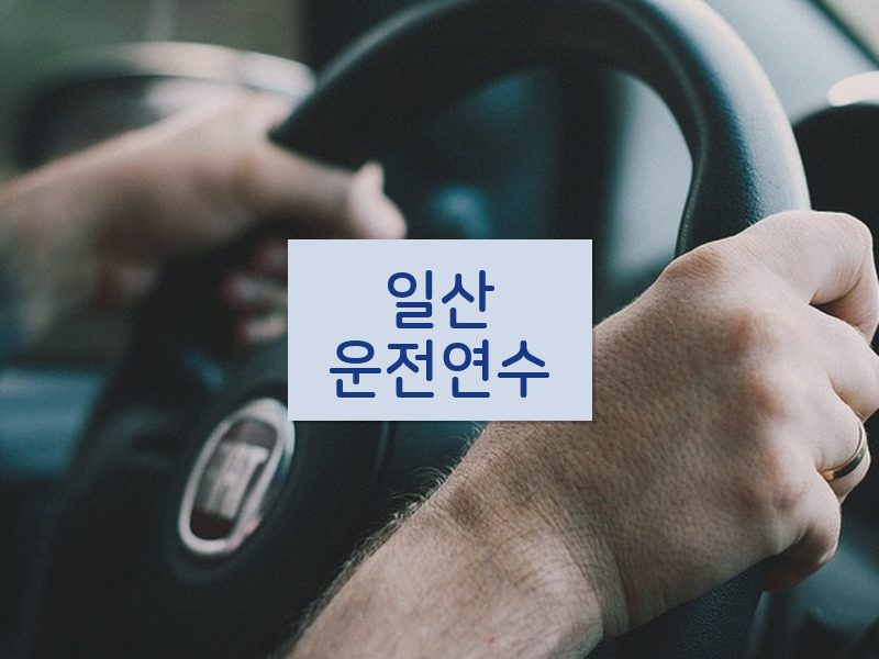 일산운전연수 후기