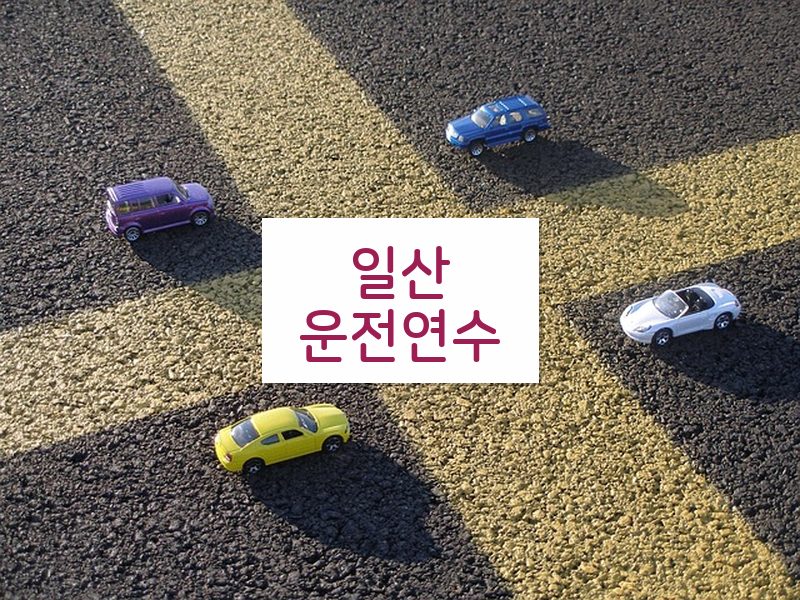 일산운전연수 후기