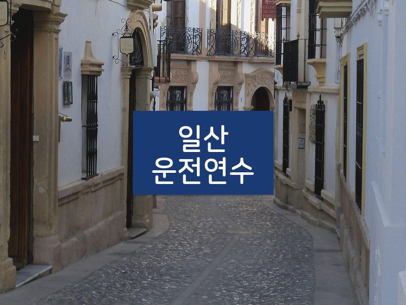 일산운전연수 후기