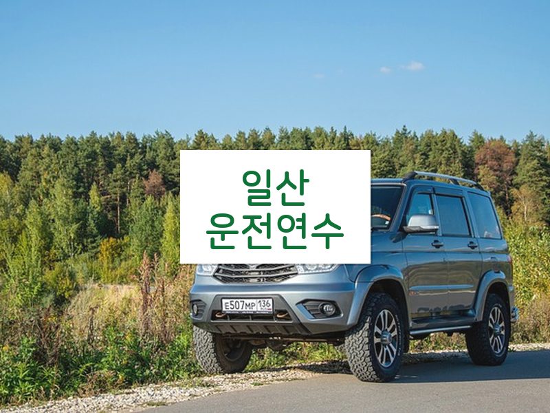 일산운전연수 후기