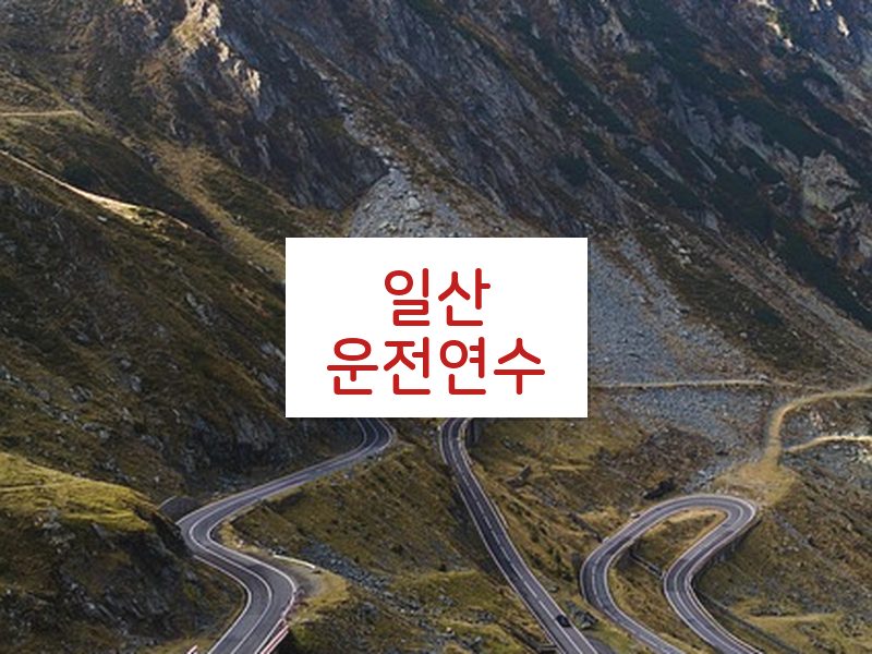 일산운전연수 후기