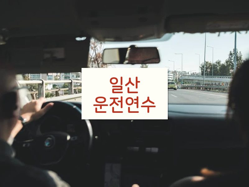 일산운전연수 후기