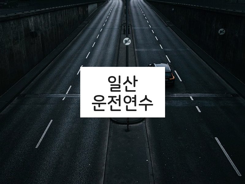 일산운전연수 후기