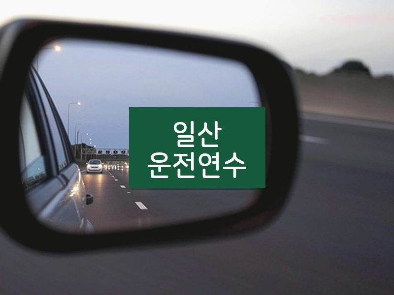 일산운전연수 후기