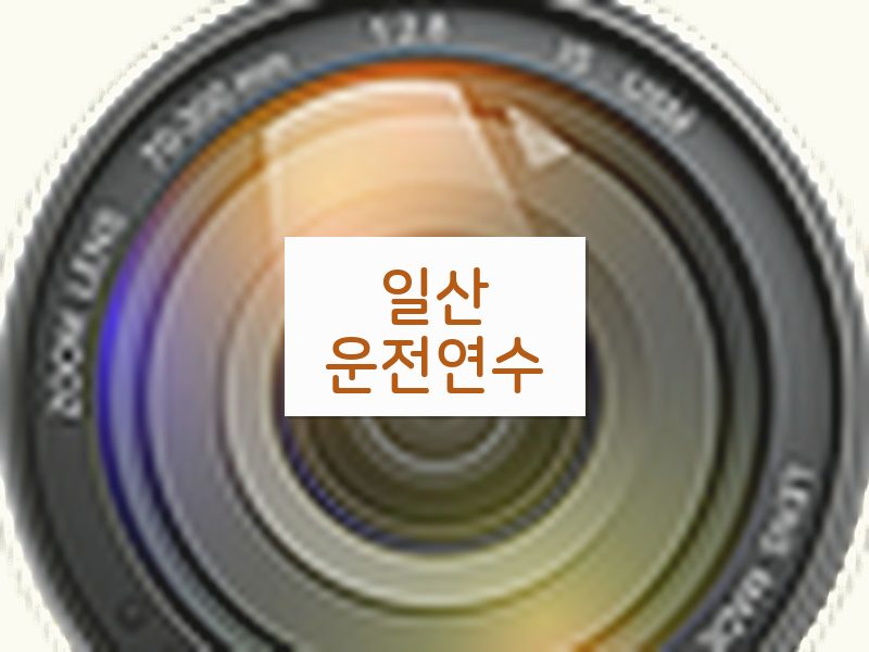 일산운전연수 후기