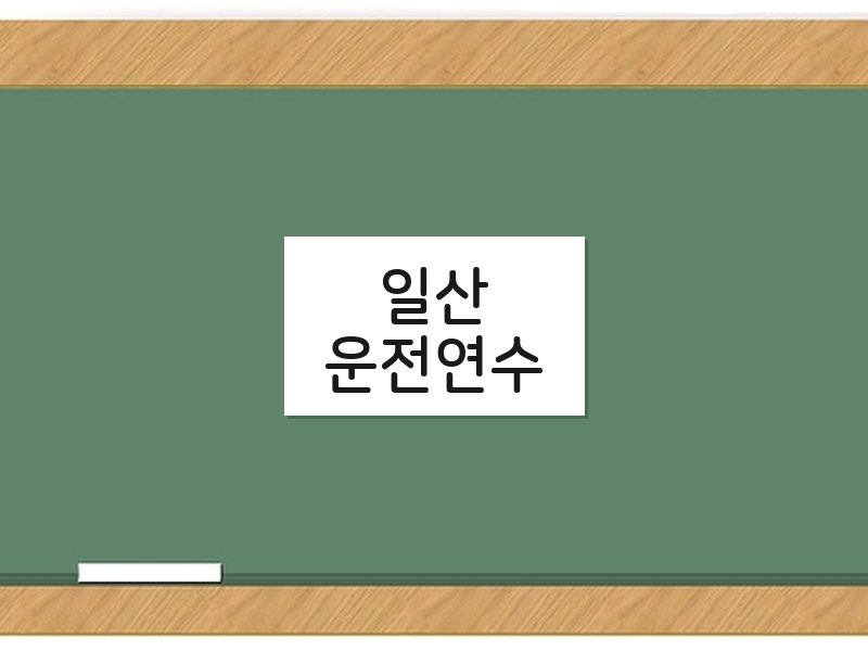일산운전연수 후기