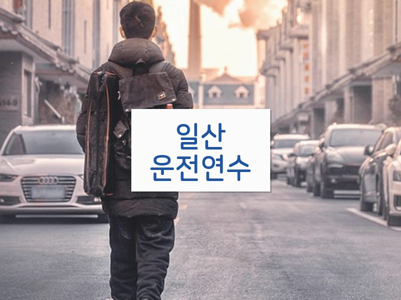 일산운전연수 후기