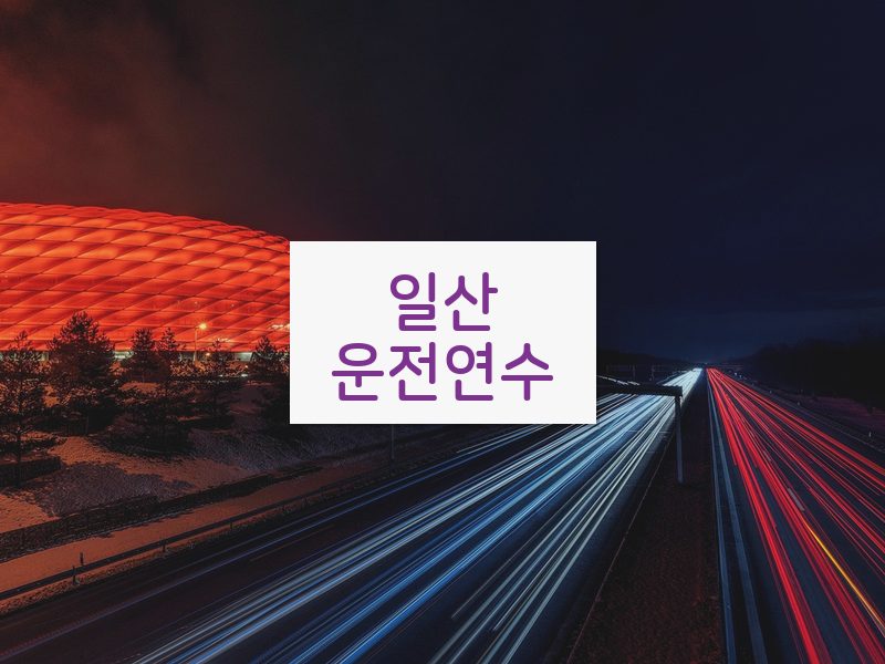 일산운전연수 후기