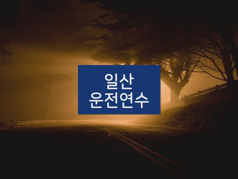 일산운전연수 후기