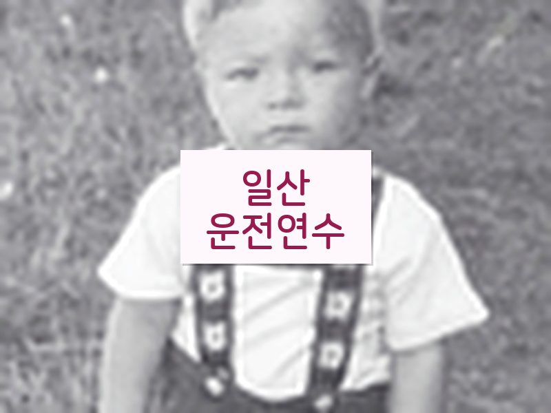 일산운전연수 후기