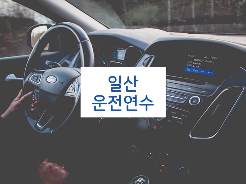 일산운전연수 후기