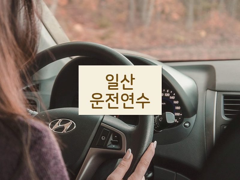일산운전연수 후기