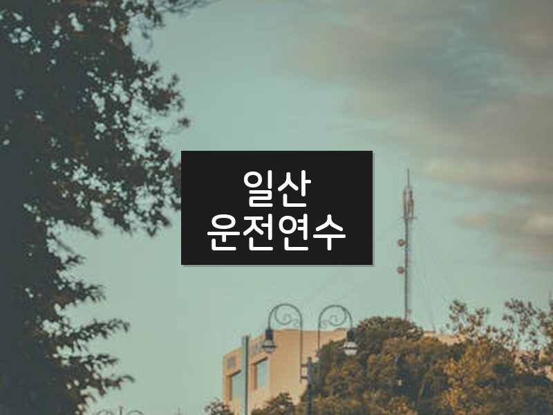 일산운전연수 후기
