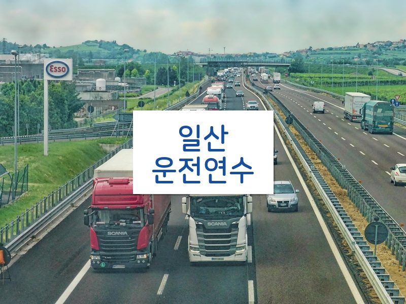일산운전연수 후기